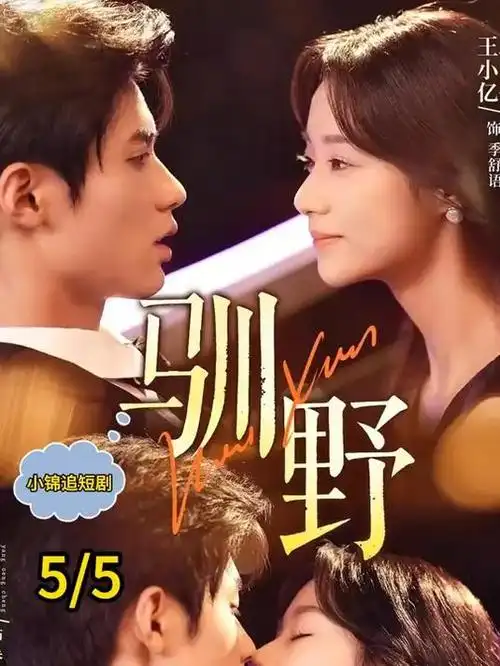 北上列车 热播电视剧在线看